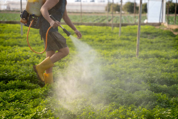 Best Best Pest Control Companies  in Greenville, DE