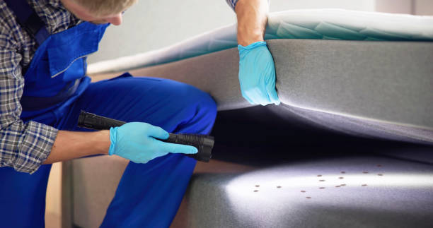 Best Residential Pest Control  in Greenville, DE