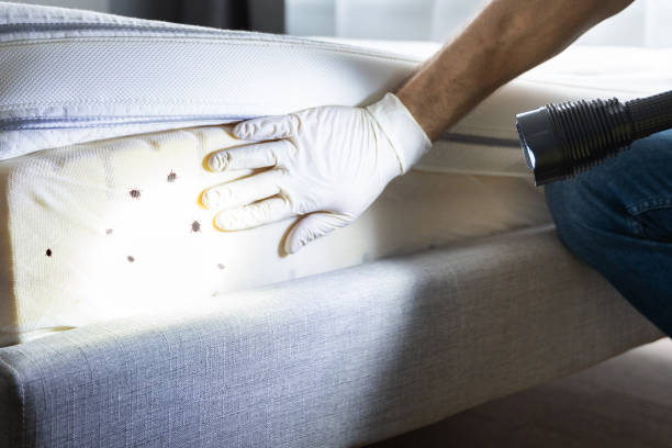 Best Pest Control for Homes  in Greenville, DE