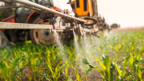 Best Wildlife Control Services  in Greenville, DE